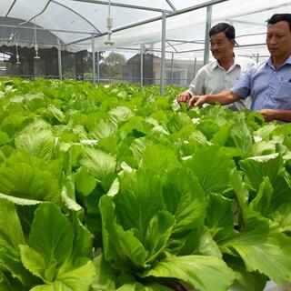 <a href="/trang-chu/phat-trien-kinh-te" title="Phát triển kinh tế" rel="dofollow">Phát Triển Kinh Tế</a>